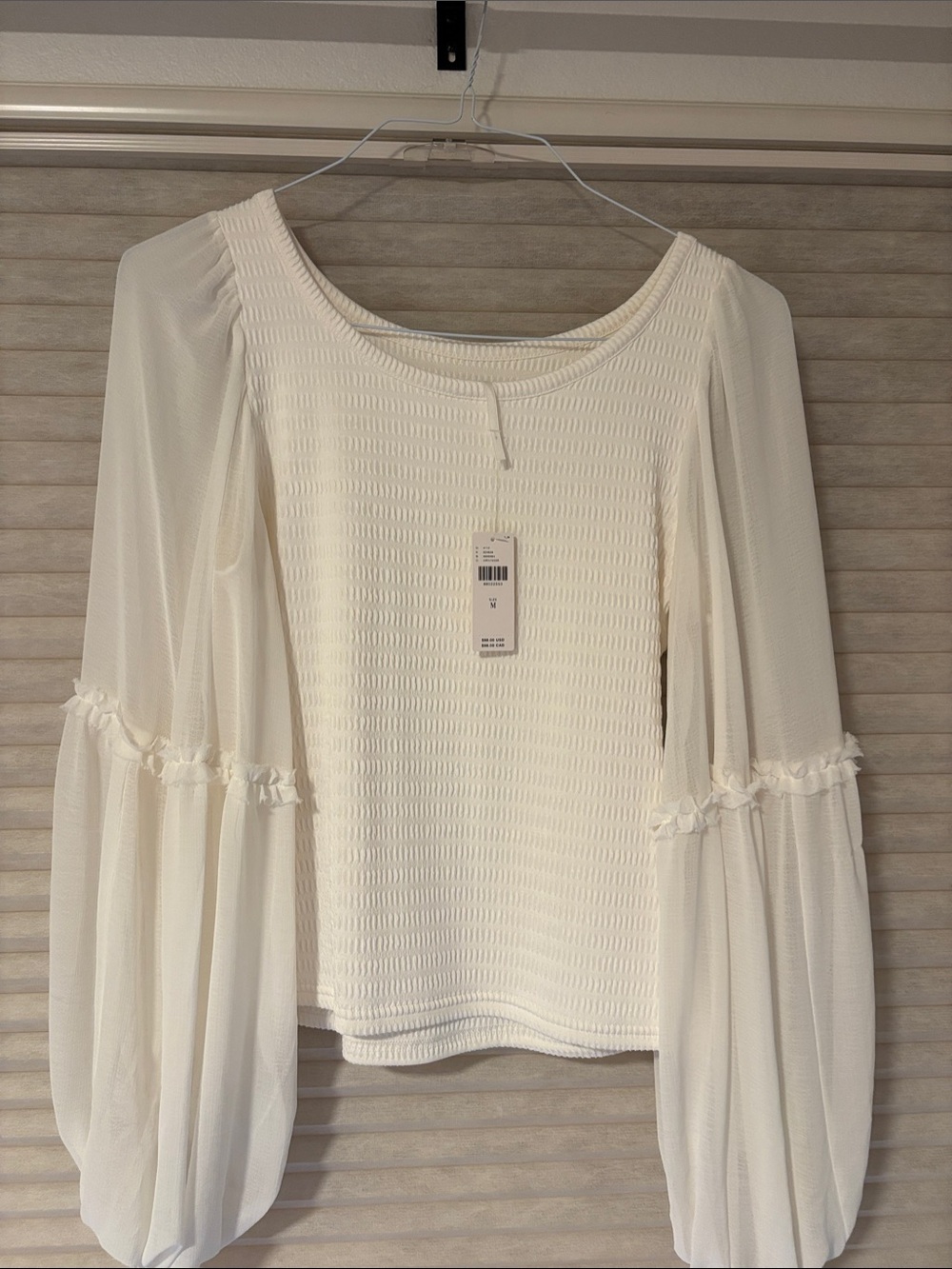 Anthropologie Cream Smocked Bodice Blouse with Sheer Balloon Sleeves